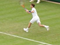 Wimbledon Tennis Championships 2014